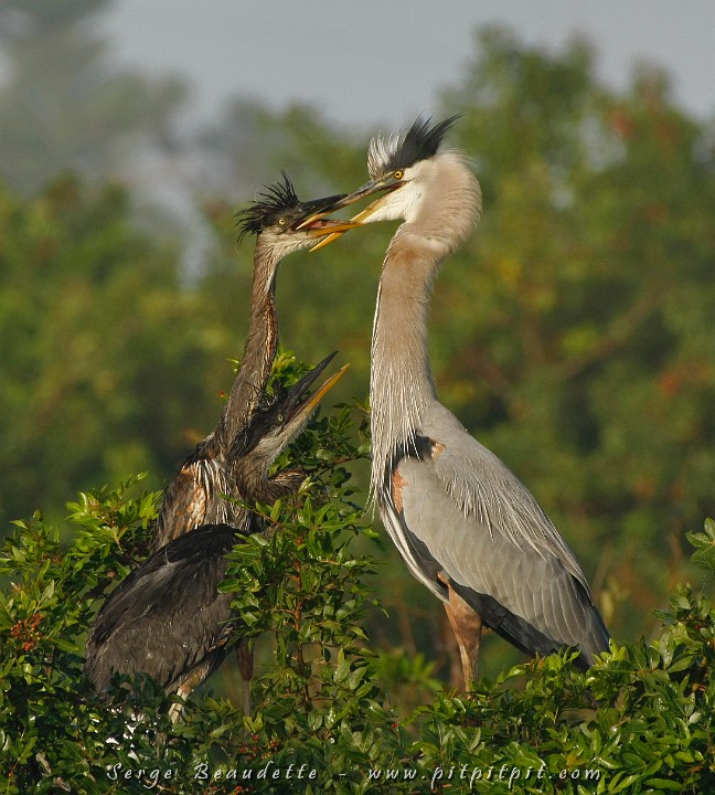 2009-01-06 08-34-11__MG_0533.JPG